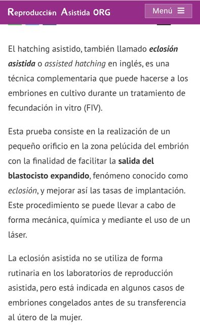 Buscadoras más de 1 año - 2022 - 1