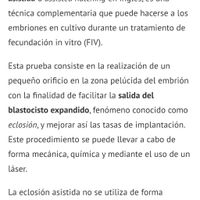 Buscadoras más de 1 año - 2022 - 1