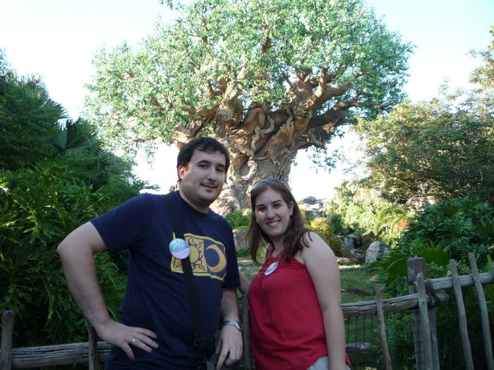 Árbol de la vida