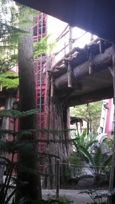 Cola de Star Tours (fuera)