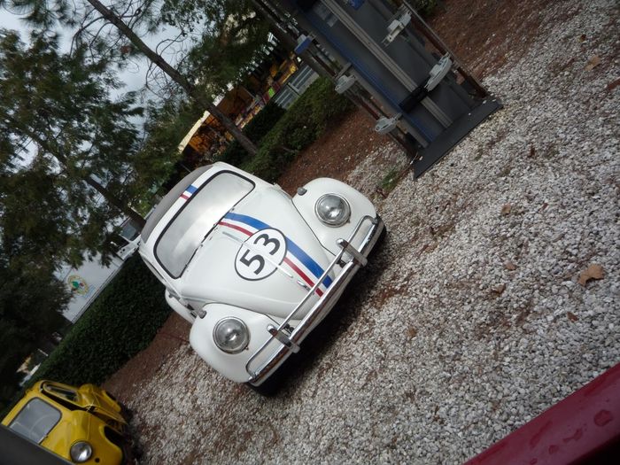 Herbie