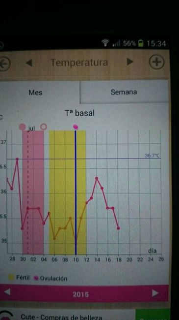 Opiniones gráficas temperatura basal - 2