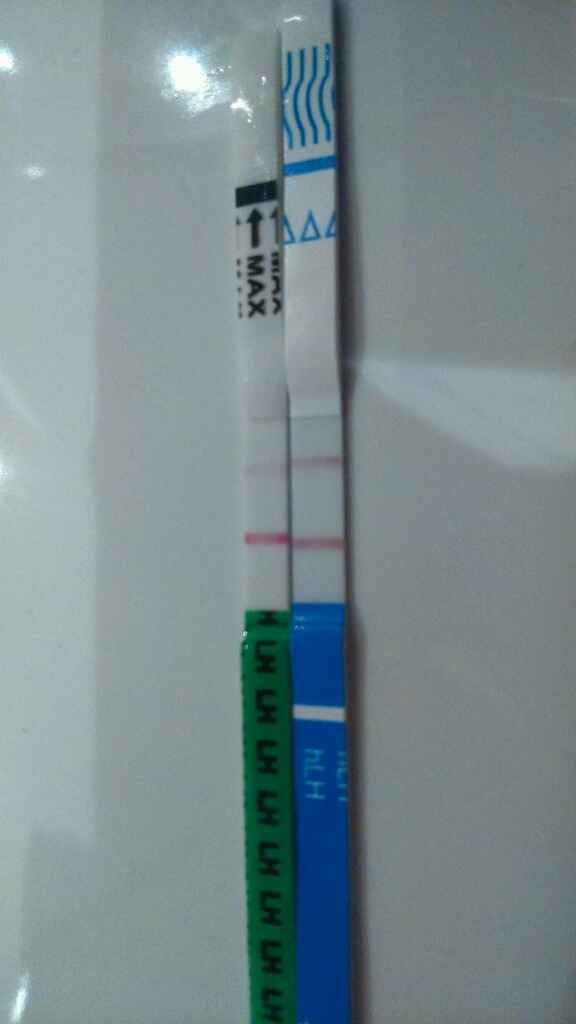 Buscadoras con síndrome de ovario poliquístico (sop) - 1