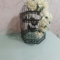 Jaulas vintage - 1