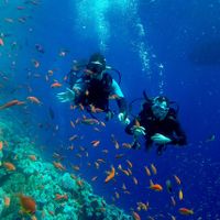 Submarinismo en el Mar Rojo