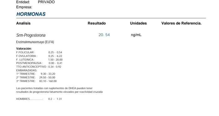 Buscadoras Agosto 2022 - 1