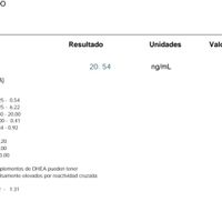 Buscadoras Agosto 2022 - 1