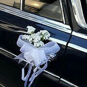 Decorar coche - 1