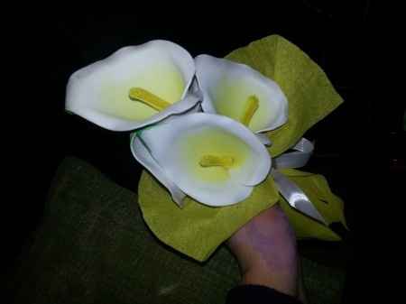 Calas blancas