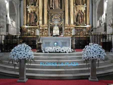 flores