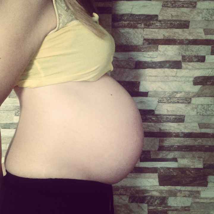 36 semanas