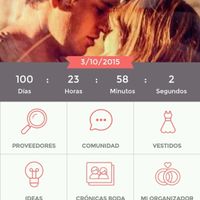 A 100 dias de nuestra boda! - 1
