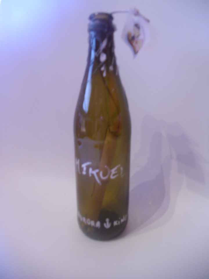 botella