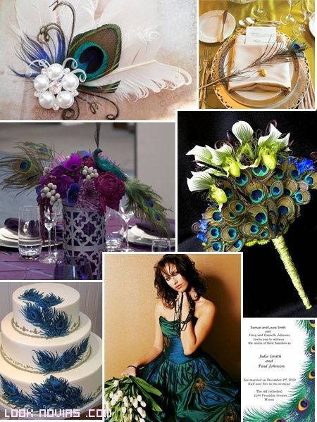 inspiracion pavo real
