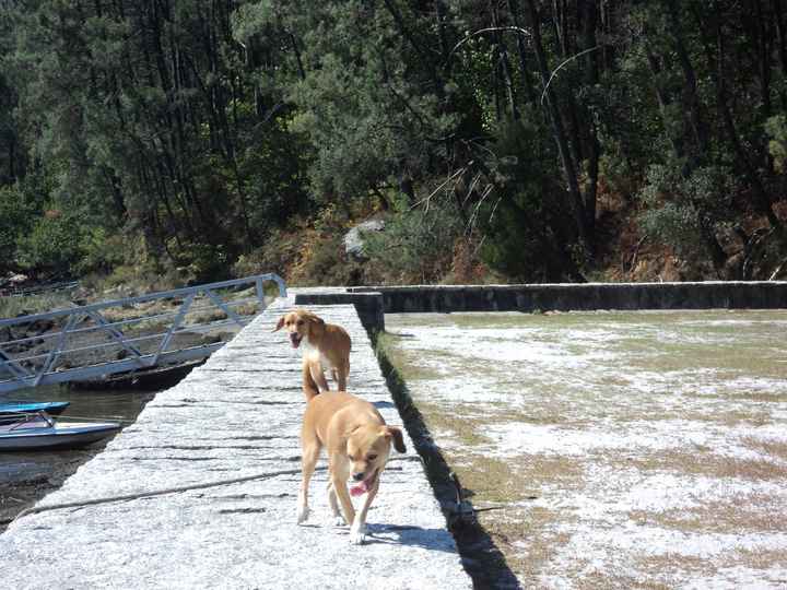 Pepa y Bimba