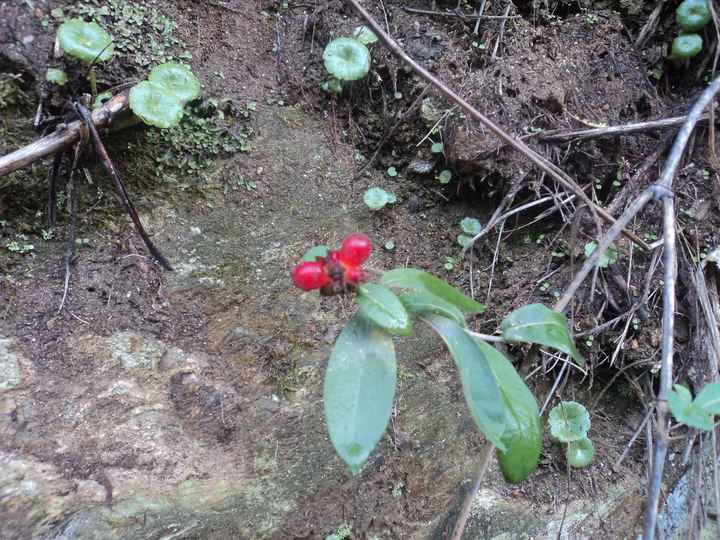 Arte en la naturaleza