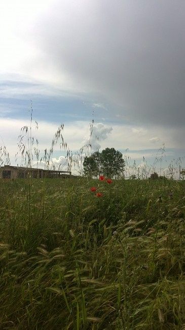 Paisaje