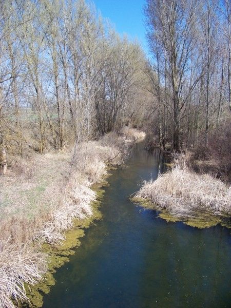 El Rio