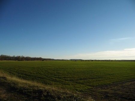 Vistas