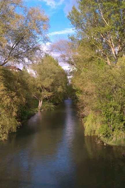 EL Rio