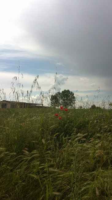 Paisaje