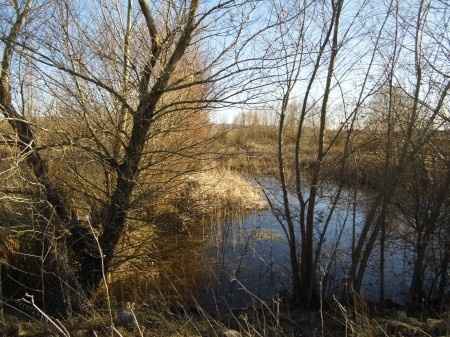 Rio Odra