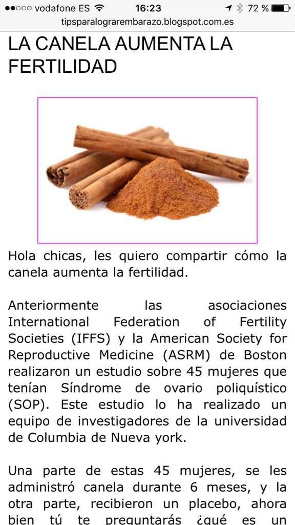 Buscadoras de sueños y milagros: IA, FIV, ICSI (Reproducción Asistida) - 1