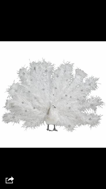 Busco pajaros con plumas decoracion - 3