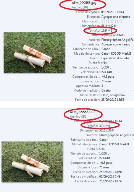 Muestra JPG vs. RAW