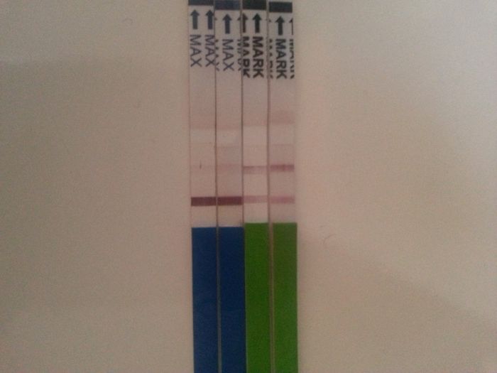 Los test de ovulaciÓn predicen el embarazo? - 1