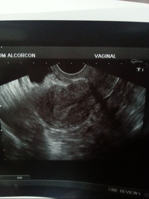 Mamás noviembre 2015 - 1