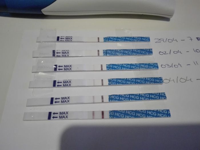 Clearblue 12