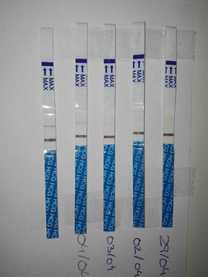 Buscadoras después de uno o varios abortos iii - 1