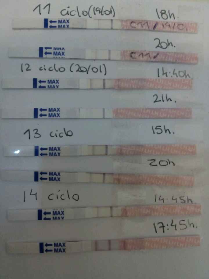 Resuelvo dudas sobre los to (test de ovulacion) - 1