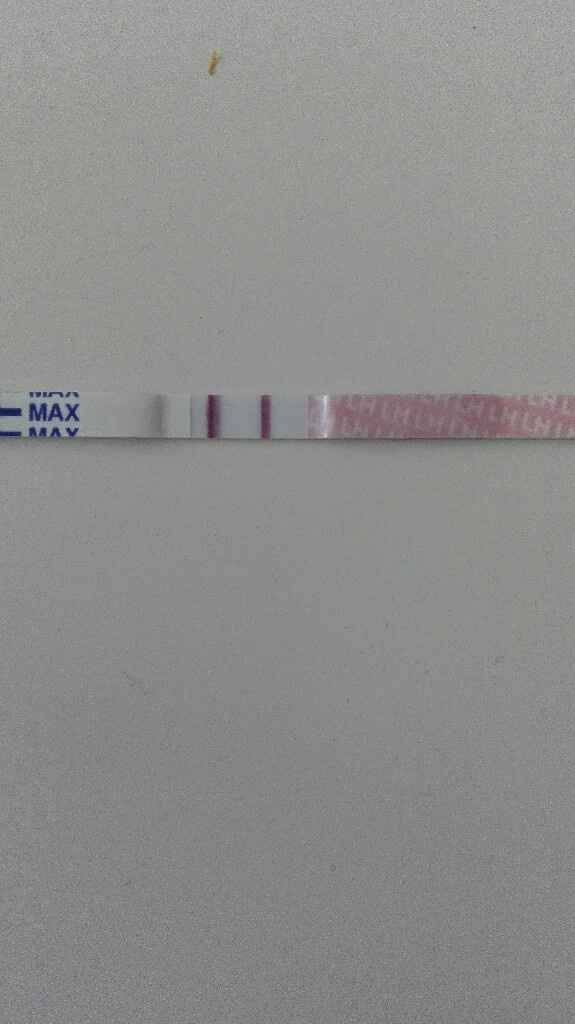 Urgente opinión test ovulación - 1