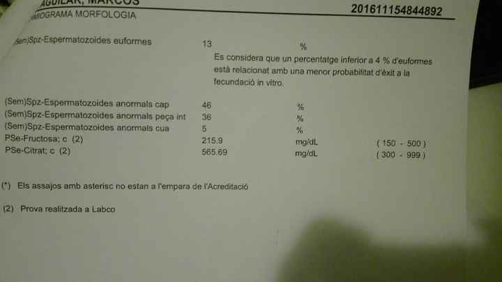 Buscadoras de un primer embarazo y tras muchos intentos no llega - 1