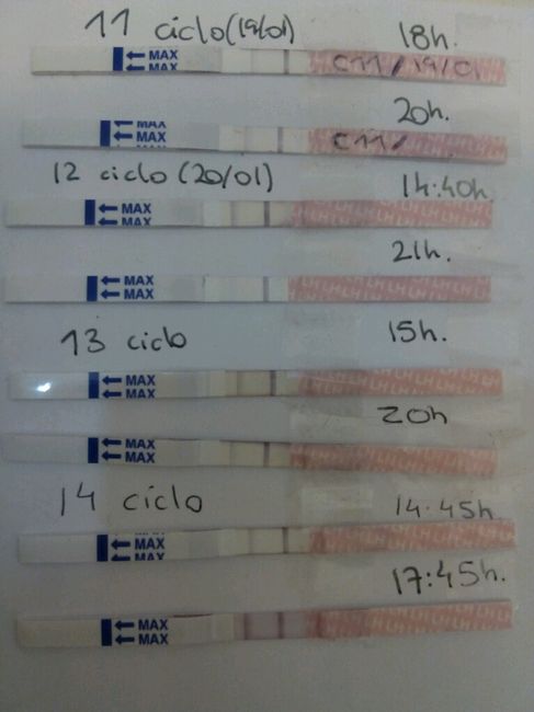 Resuelvo dudas sobre los to (test de ovulacion) - 1