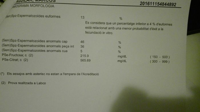 Buscadoras de un primer embarazo y tras muchos intentos no llega - 1