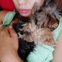 Invitados peludos!!! - 1