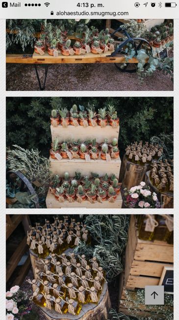  Detalles ( cactus y aceite) - 1