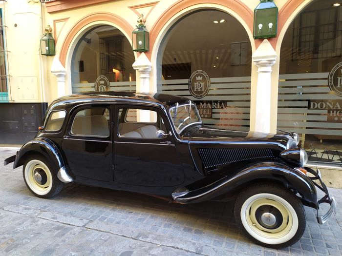 El coche de los novios 2