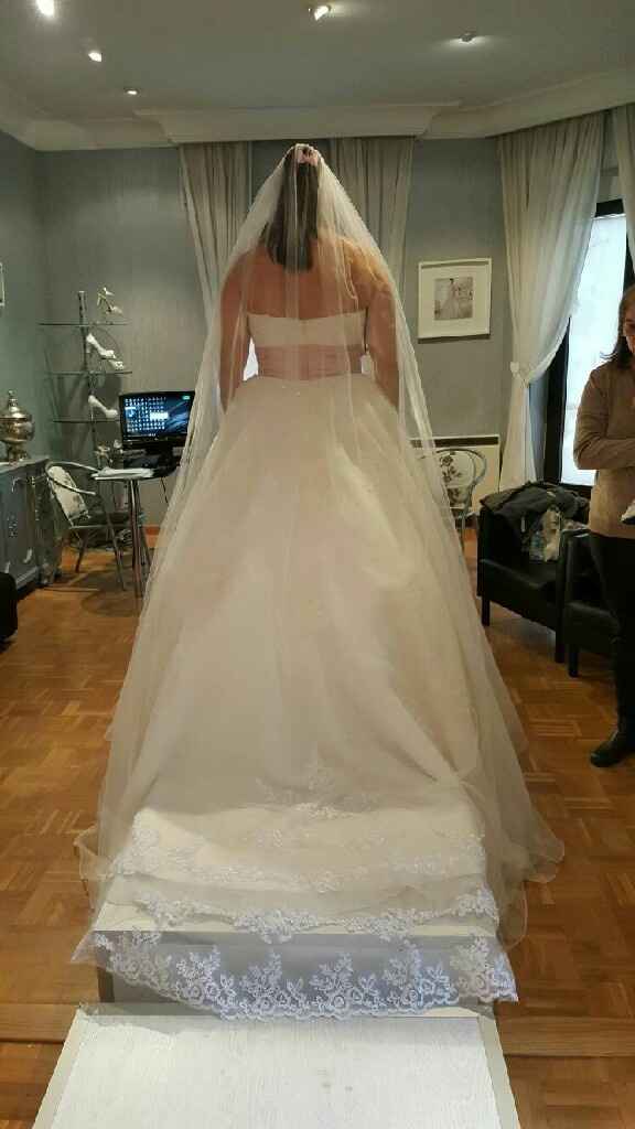 Velo y prueba del vestido - 1