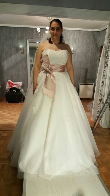 Velo y prueba del vestido - 1