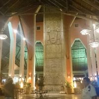 Riviera maya agosto 2016 - 5