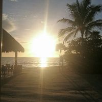 Riviera maya agosto 2016 - 7