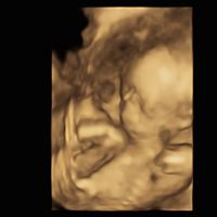 Futuras mamás julio 2021🤰🌹😍😍 - 1