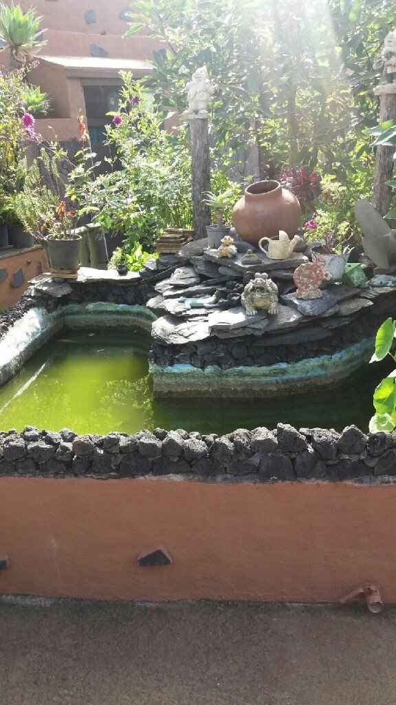  ya tenemos Finca!!! - 3
