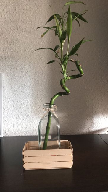 Mi decoración de mesa/regalo para invitados - 2