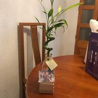 Parejas me gustaría saber vuestras ideas para los regalos de los invitados porque yo no tengo ni la 