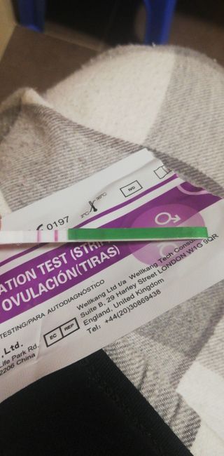 Ayuda con los test de ovulacion!!! - 1